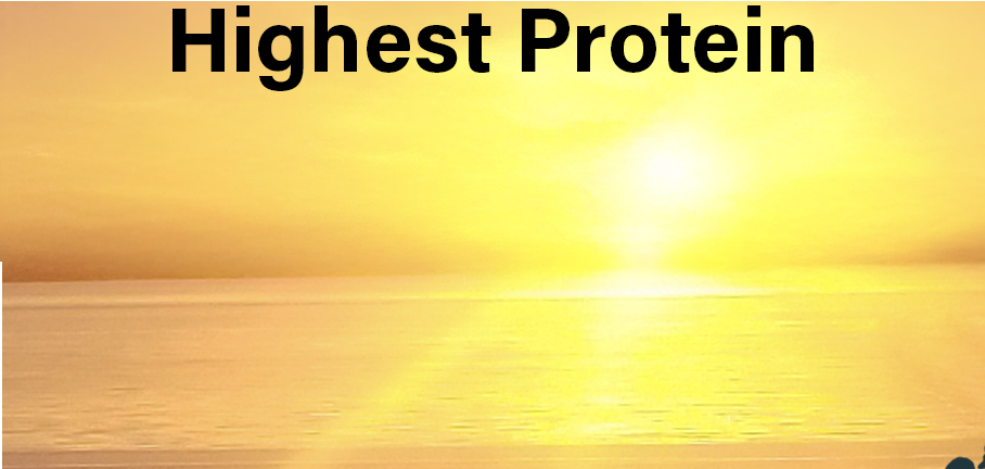highest protein meals
