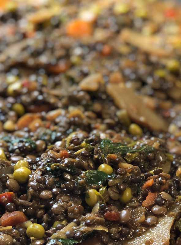 curried lentil stew